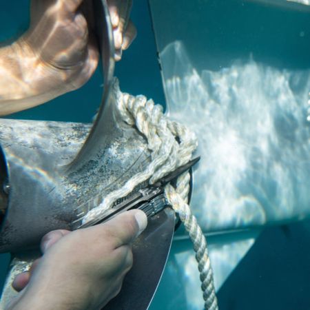 Stainless Steel Marine Knife