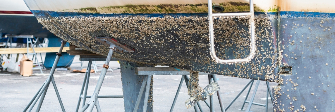 boat cleaning with ecological antifouling