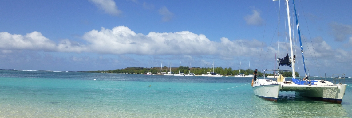 sailing a catamaran