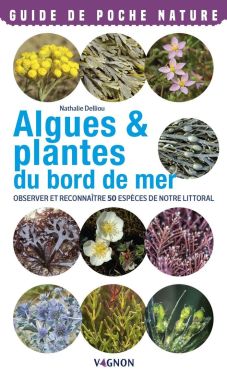 Guide nature Vagnon - Algues & plantes du bord de mer